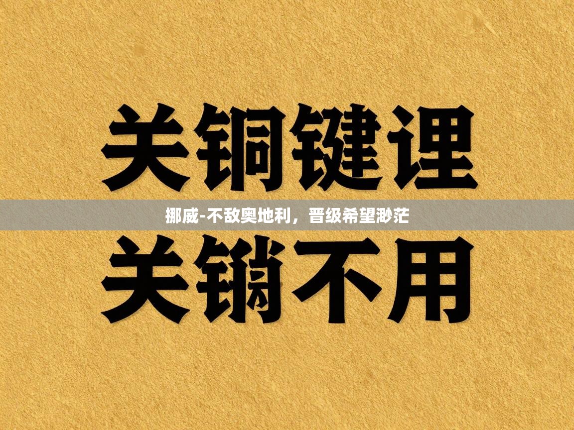 挪威-不敌奥地利，晋级希望渺茫  第2张